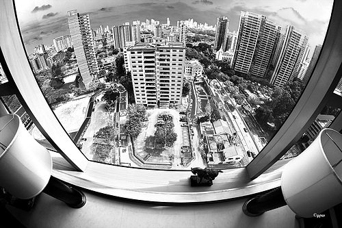 The 19th Floor