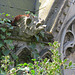 paddington cemetery, brondesbury, london