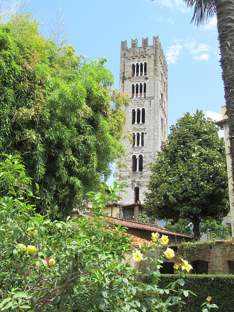 Lucca