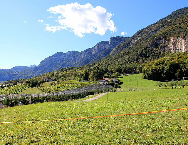 HFF in Südtirol -