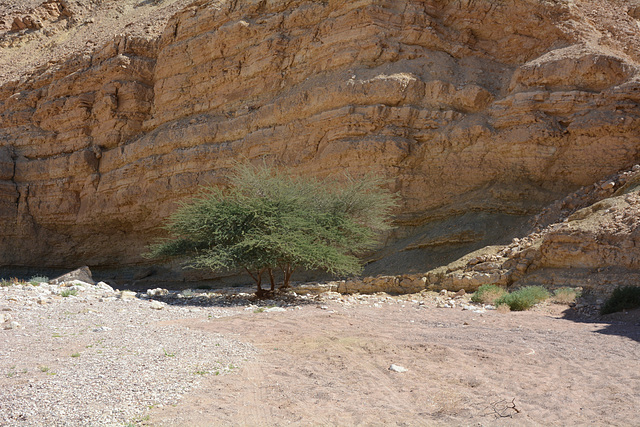 Israel, The Mountains of Eilat, Deep Shadow