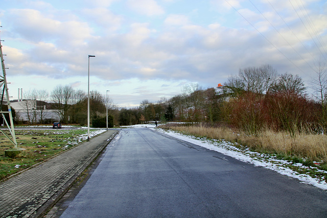 Zechenweg (Hamm-Herringen) / 3.02.2019