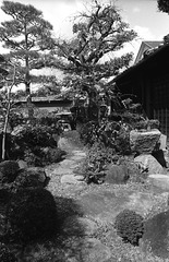 Japanese garden 1-34
