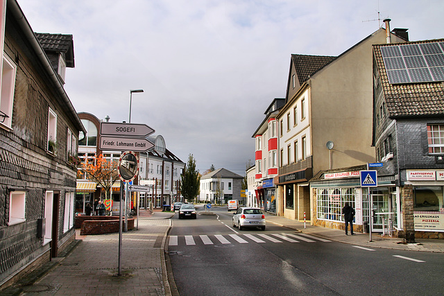 Vormholzer Straße (Witten-Herbede) / 6.11.2021