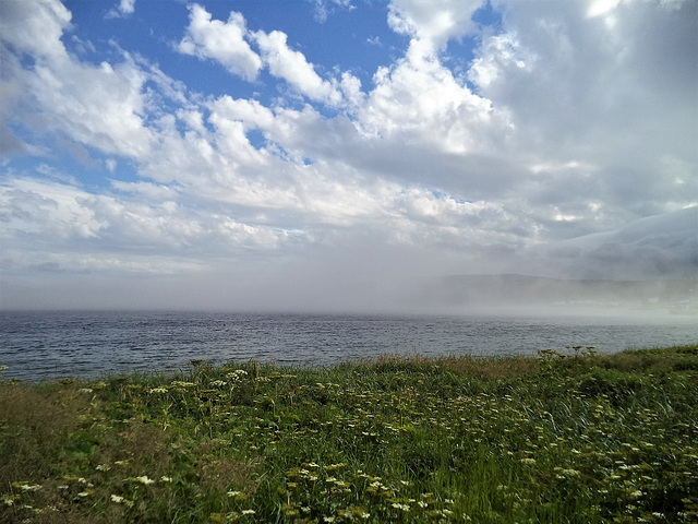 Mer entre nuages et végétation / Meer zwischen wolken und vegetation