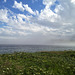 Mer entre nuages et végétation / Meer zwischen wolken und vegetation