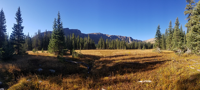 Diamond Lake Trail