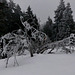 20250112 Raquettes Crêtes de Charande (Vercors) (61)reccol