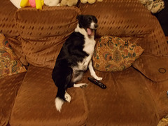 wpd[25] / BtC[25] - watching TV {4 of 5}