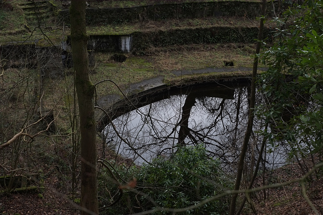 Park Hall Pools