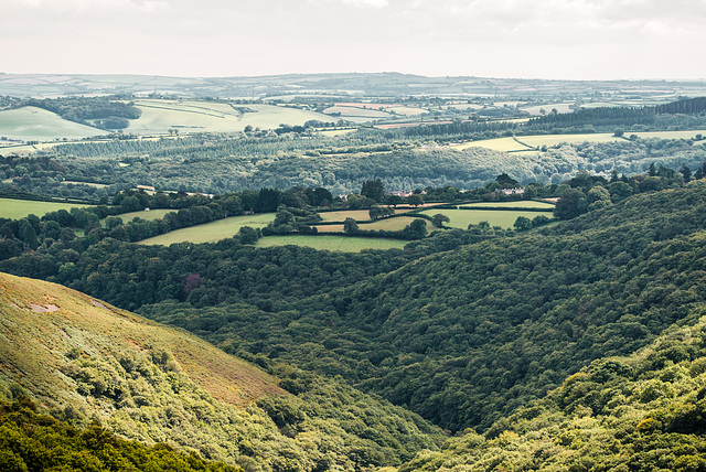 Dartmoor - 20150831