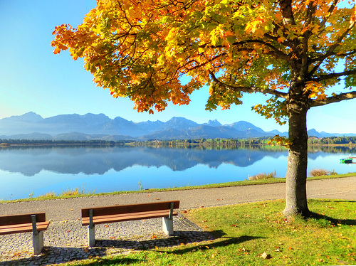 Herbst am Hopfensee... ©UdoSm