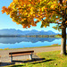 Herbst am Hopfensee... ©UdoSm