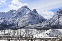 Saskatchewan Crossing