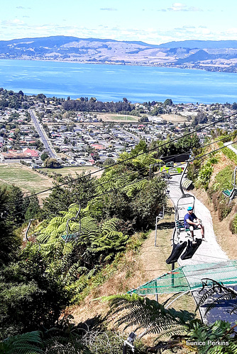 Overlooking Rotorua