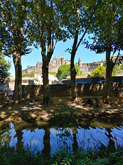Carcassone Reflection