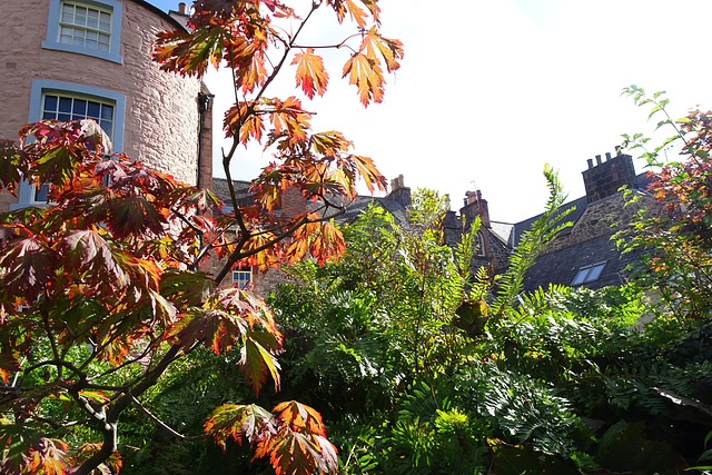 Broughton House Gardens