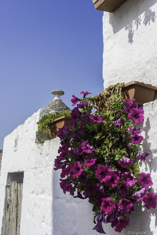 Alberobello (© Buelipix)