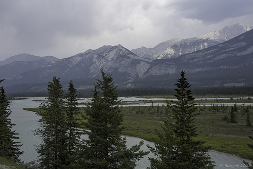 am Athabasca River (© Buelipix)