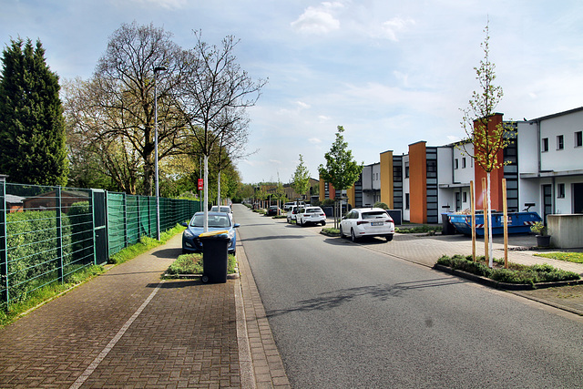 Am Vogelsberg (Lünen-Altlünen) / 13.04.2024