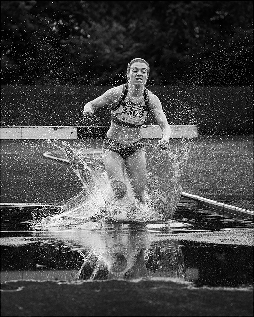 Splash