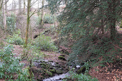 brook running through Park Hall Wood