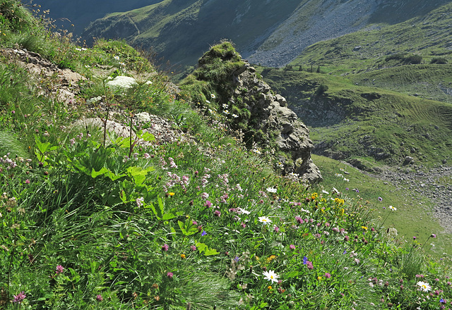 Am Weg zum Laufbacher Eck