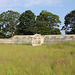 Walled Garden, Grove Park, Yoxford, Suffolk