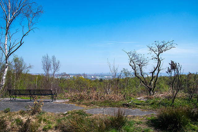 A bench with a view, Bidston Hill.