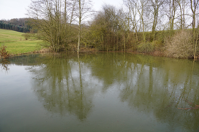 Ein neuer Teich