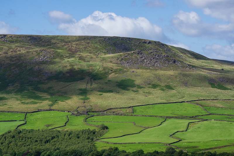 Longdendale Field boundaries