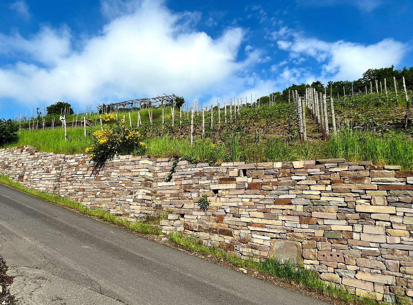 Mauer im Weinberg