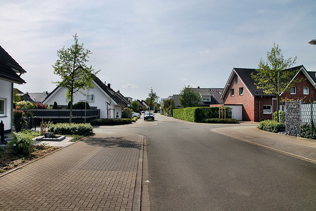 Lüner Heide (Lünen-Altlünen) / 13.04.2024