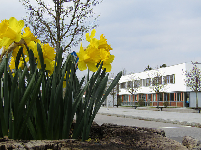 Blick zur Maximilian-Grundschule