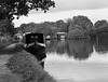 Peaceful reflections on the Macclesfield Canal