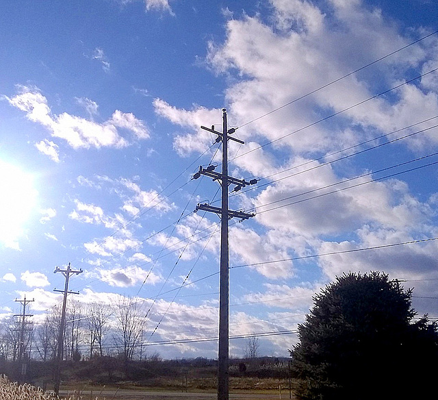 A Red-tailed Hawk flew over my head...