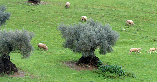 Extremadura