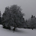 20250112 Raquettes Crêtes de Charande (Vercors) (69)