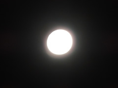 Nur la luno. Apenas a lua.