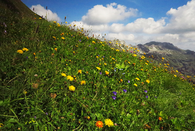 Sehnsucht nach Frühling