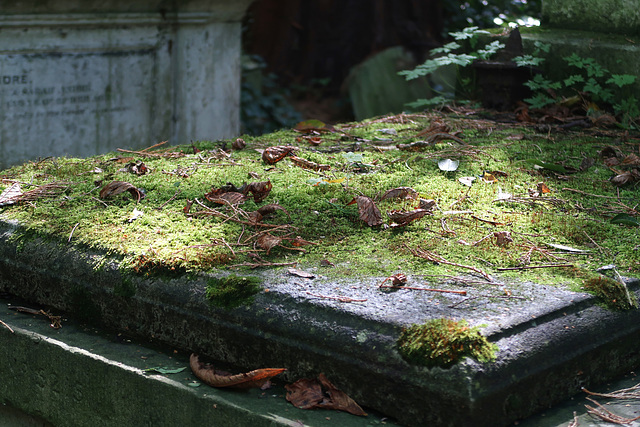 Mossy tomb