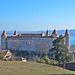 Schloss Grandson dahinter der Neuenburgersee