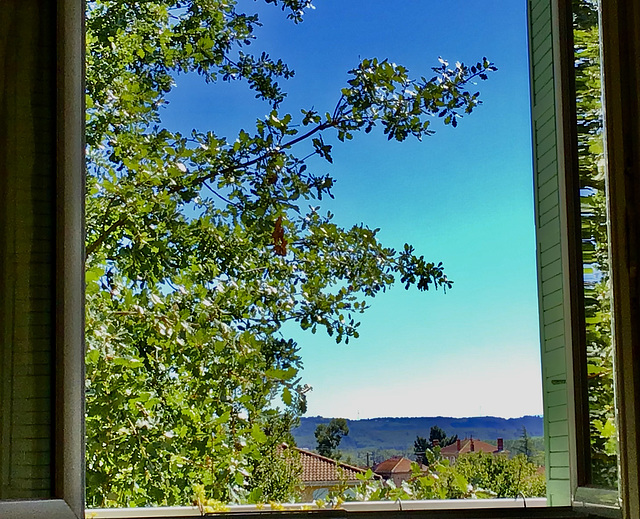 Un coin de ciel bleu