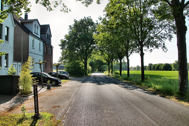 Gahlener Straße (Dorsten-Östrich) / 27.05.2023