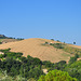 Hügellandschaft der Marke (© Buelipix)