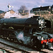 Flying Scotsman at Glyndyfrdwy on the Llangollen Railway, Wales