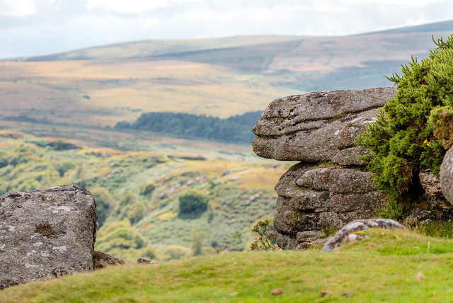 Dartmoor - 20150831