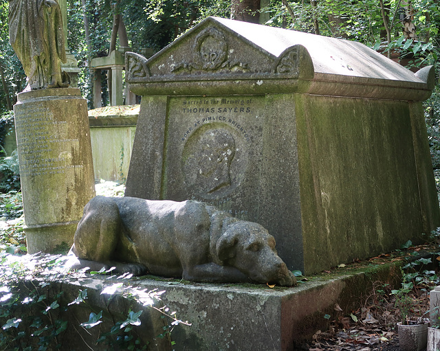 Thomas Sayers, bare-knuckle boxer, and his chief mourner 'Lion'