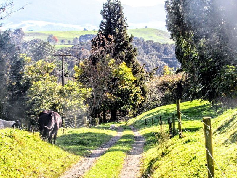 Down a Farm Track.