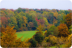 couleurs d'automne (2)